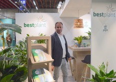 De spathiphyllum is altijd wit, een gen voor wat voor andere kleur dan zit er simpelweg niet in. Maar daarbinnen heb je dan toch weer veel verschillende varieteiten en als iemand daar verstand van heeft is dat wel Patrick Zuidgeest van Bestplant.